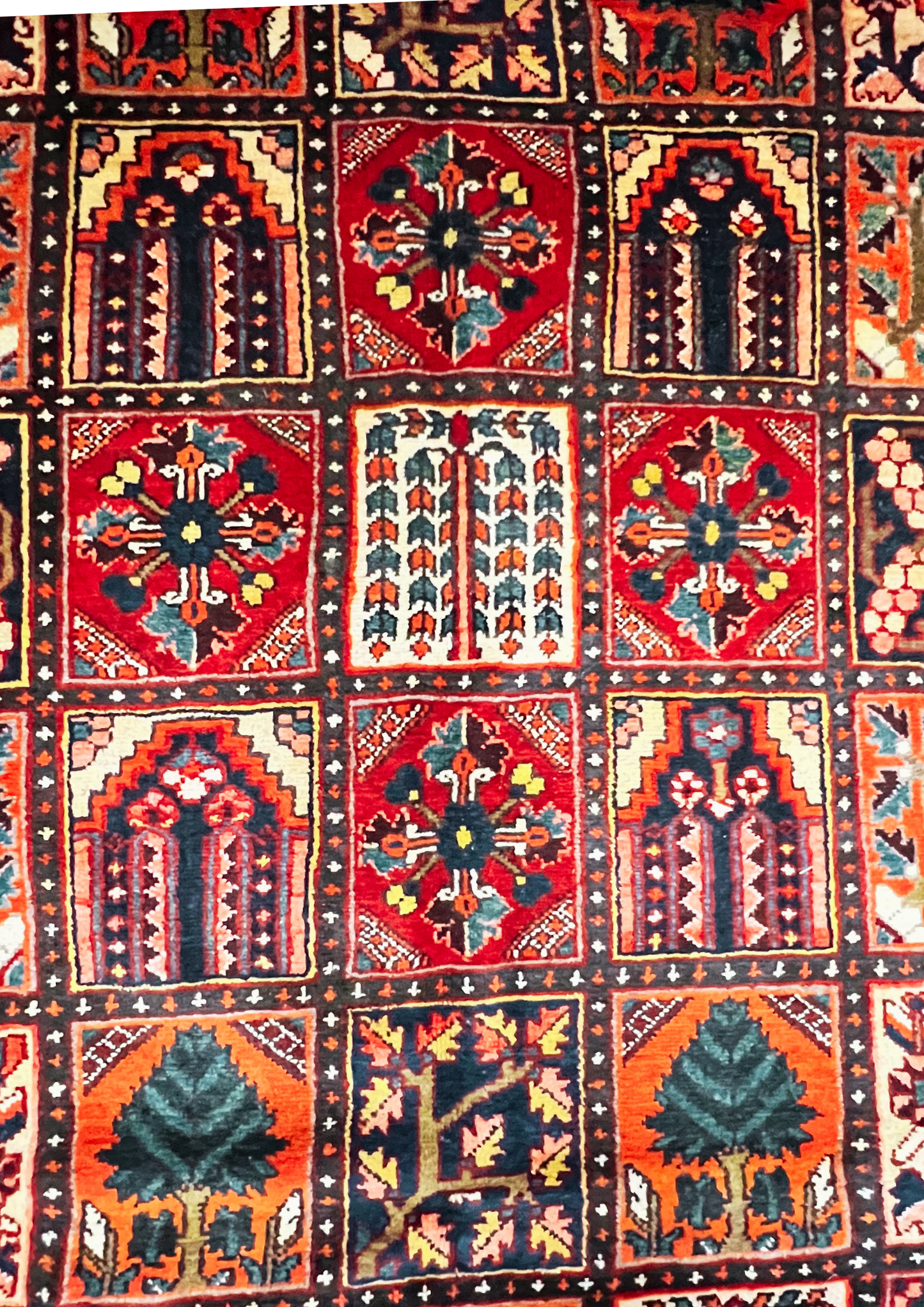 Rug No: 0755 / Size 3.84m x 3.15m