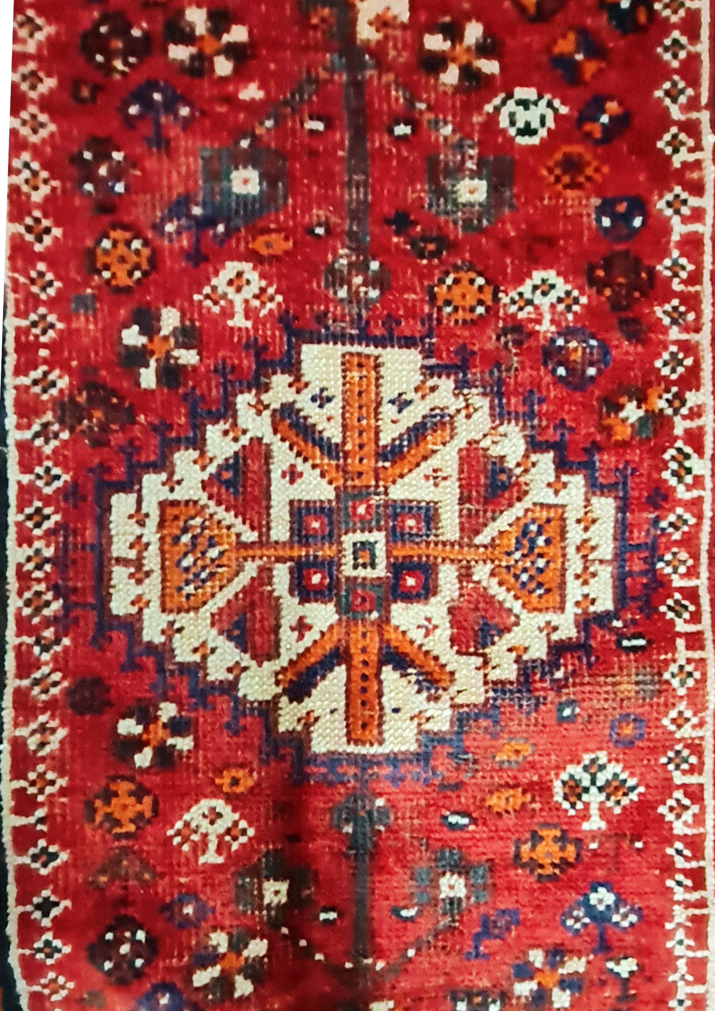 Rug No: 1545 / Size 2.50m x 1.64m