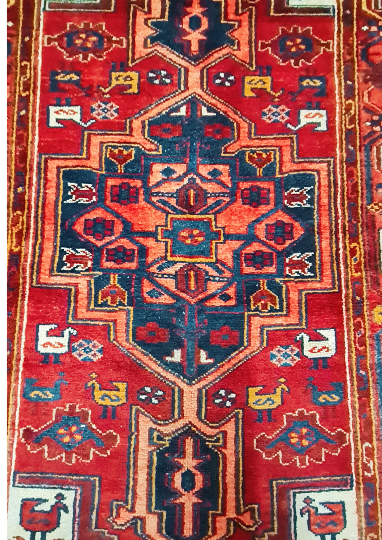 Rug No: 1544 / Size 2.27m x 1.33m