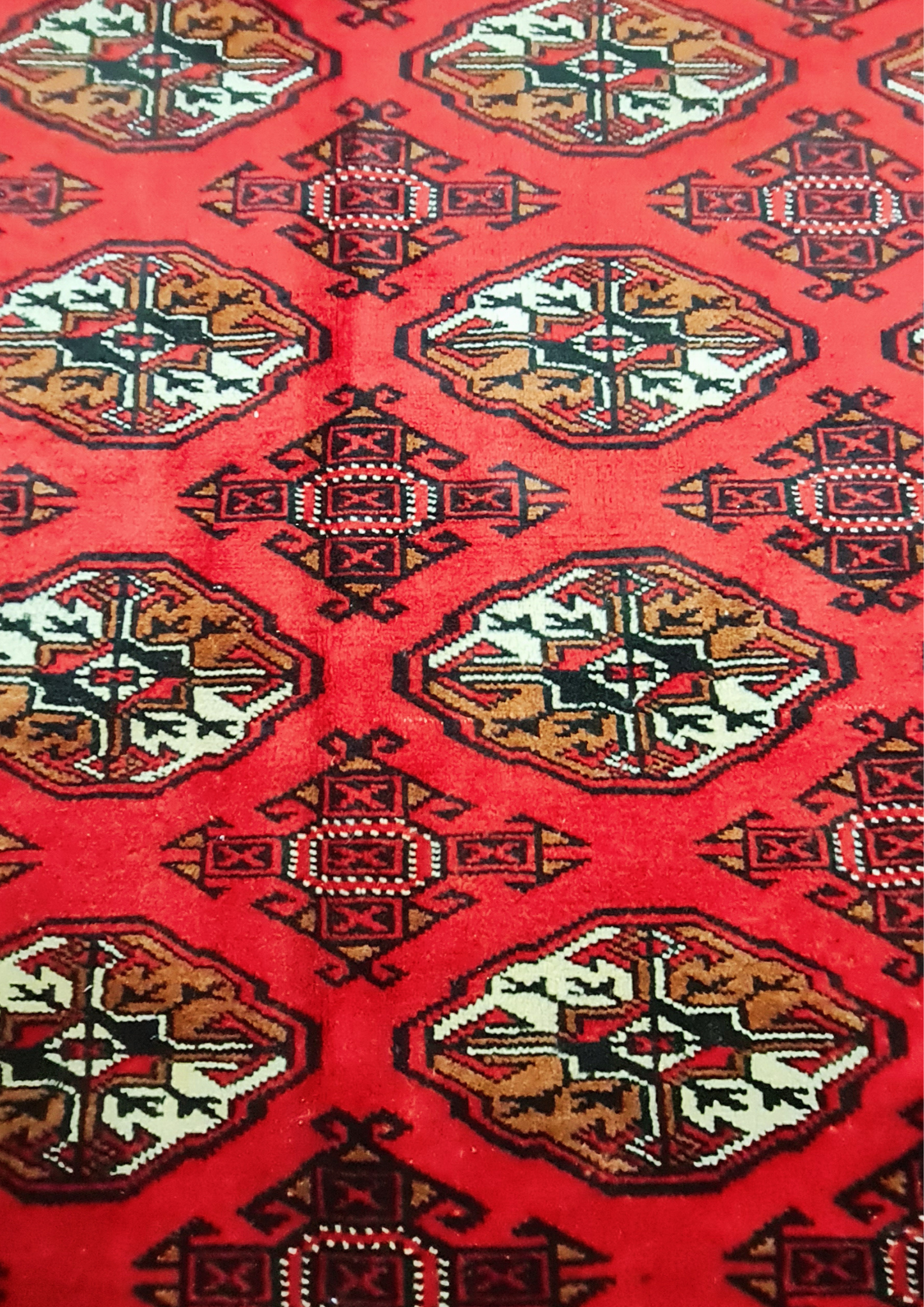 Rug No: 0741 / Size 2.90m x 2.02m