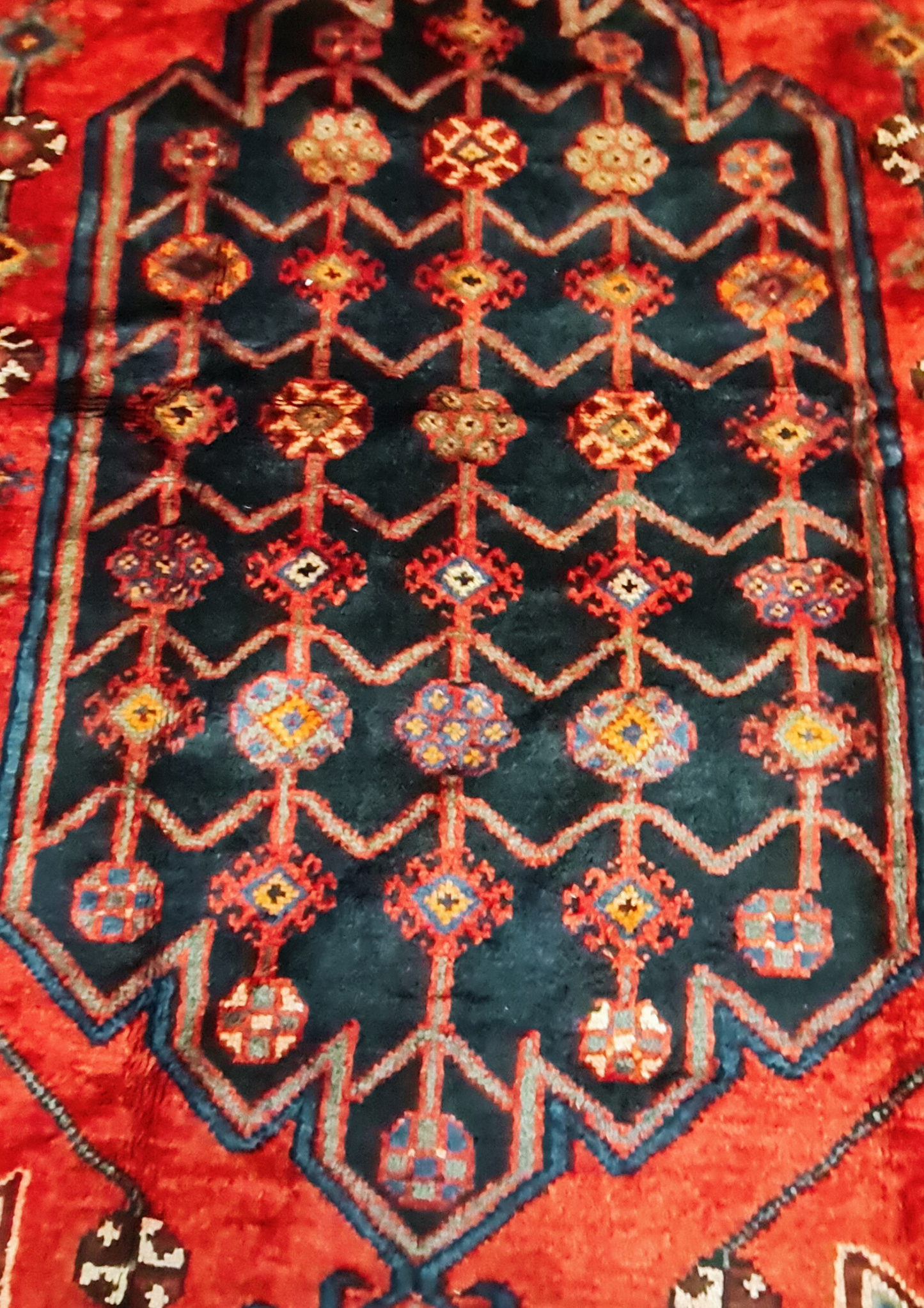 Rug No: 0269 / Size 2.92m x 1.60m