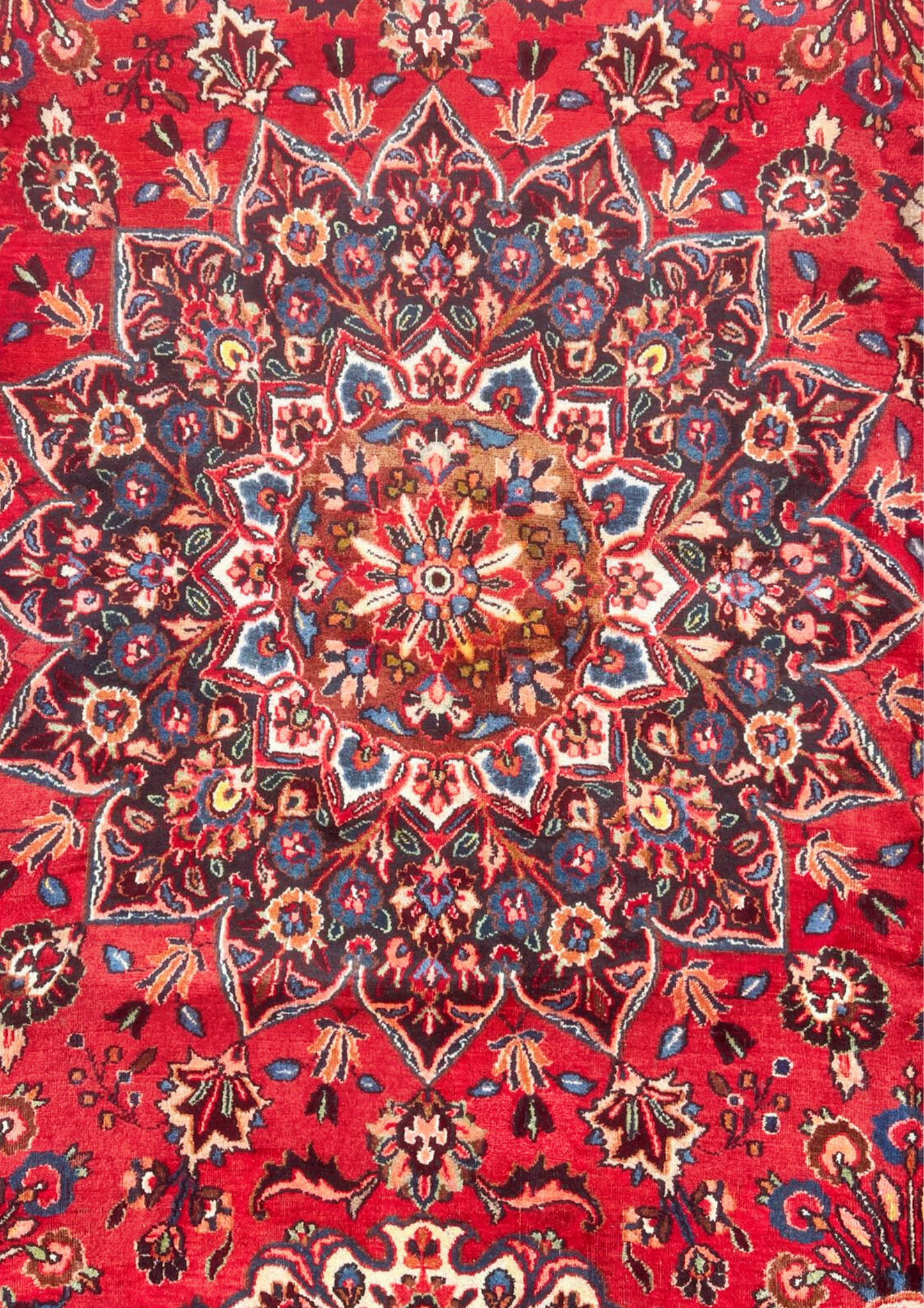 Rug No: 0203 / Size 5.04m x 3.57m