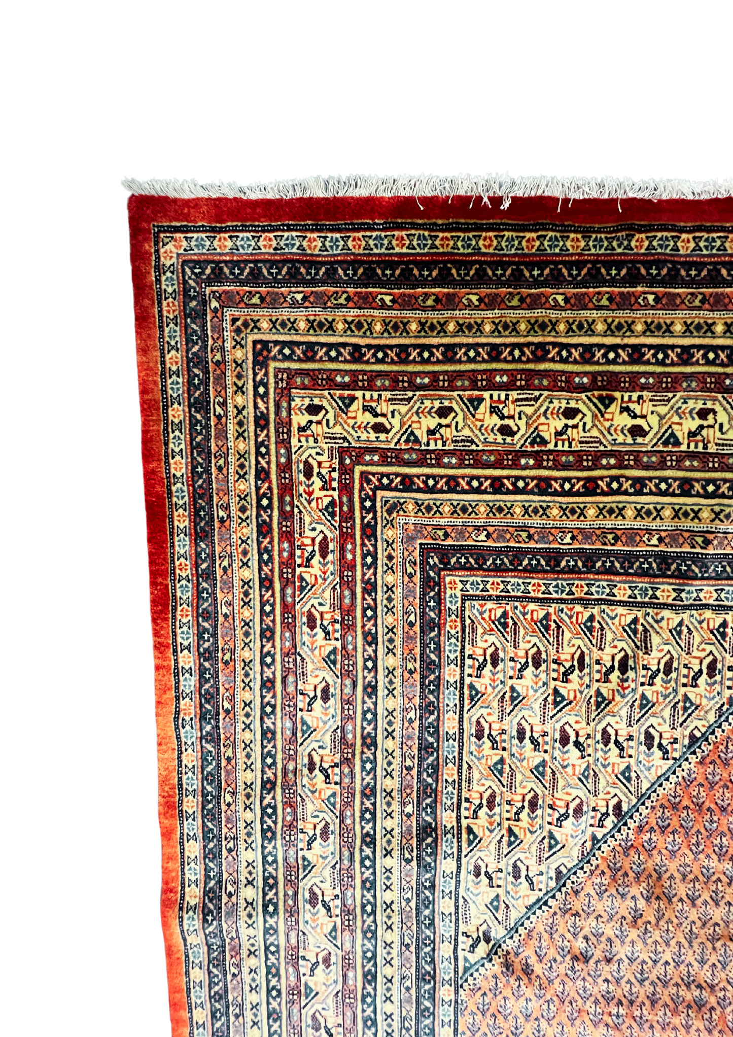 Rug No: 3220 / Size 3.90m x 2.93m