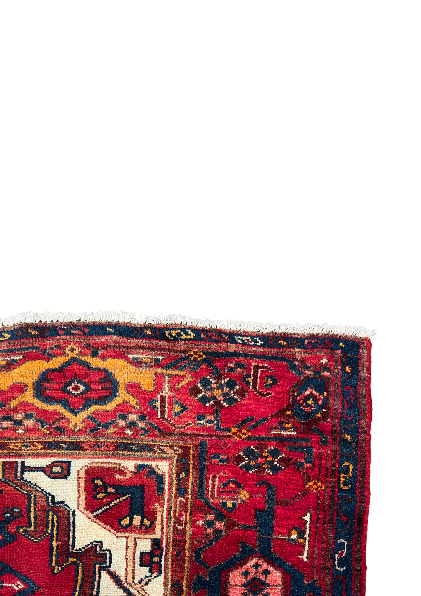 Rug No: 1550