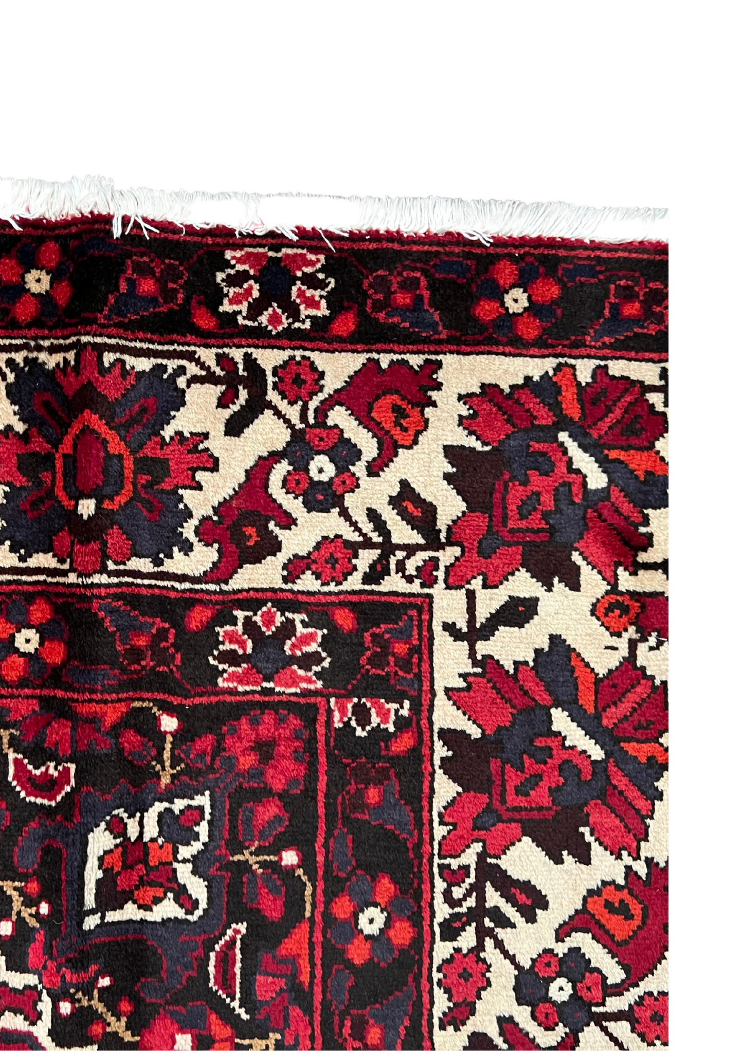 Rug No: 0061 / Size 3.00m x 2.16m