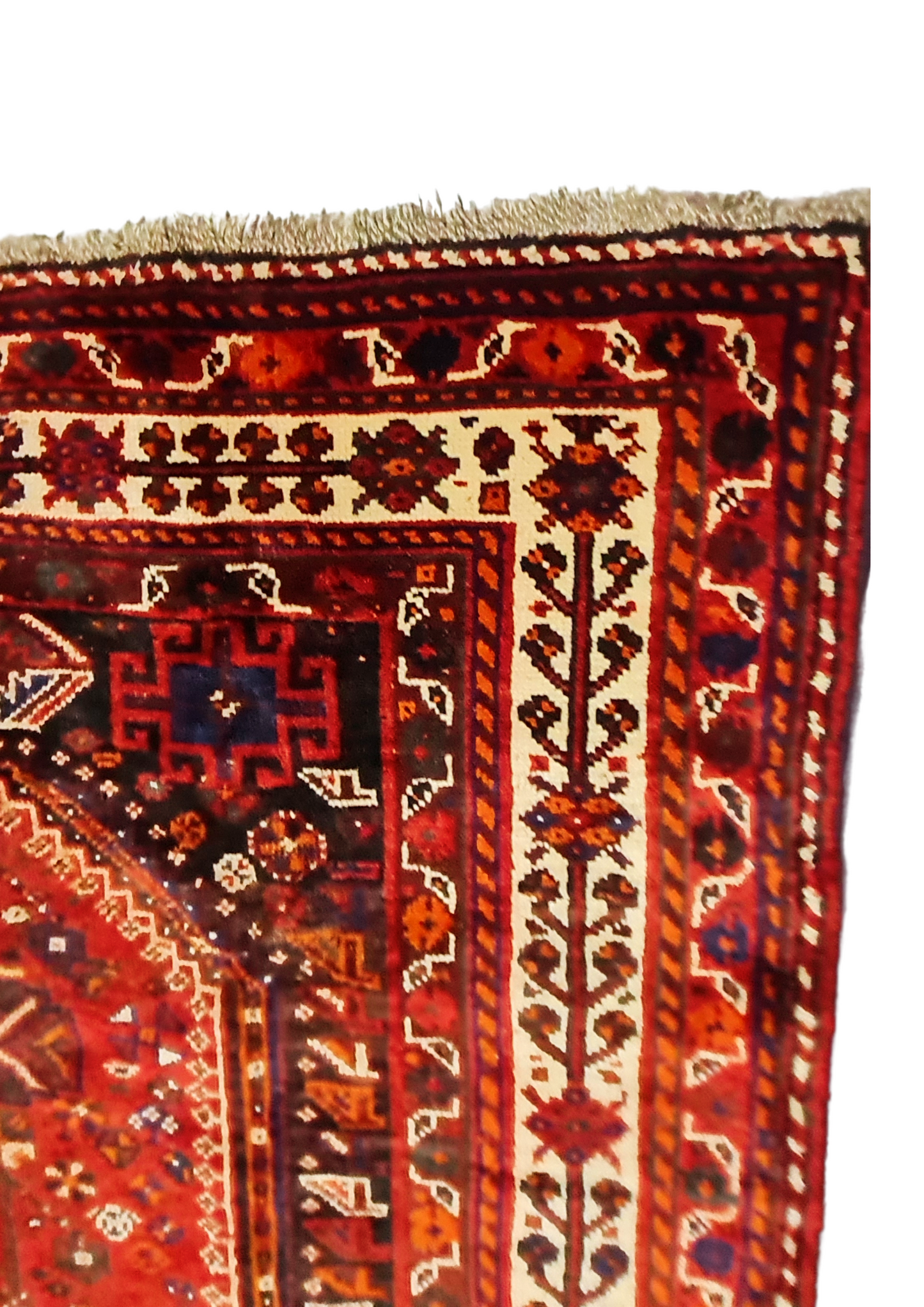 Rug No: 1545 / Size 2.50m x 1.64m