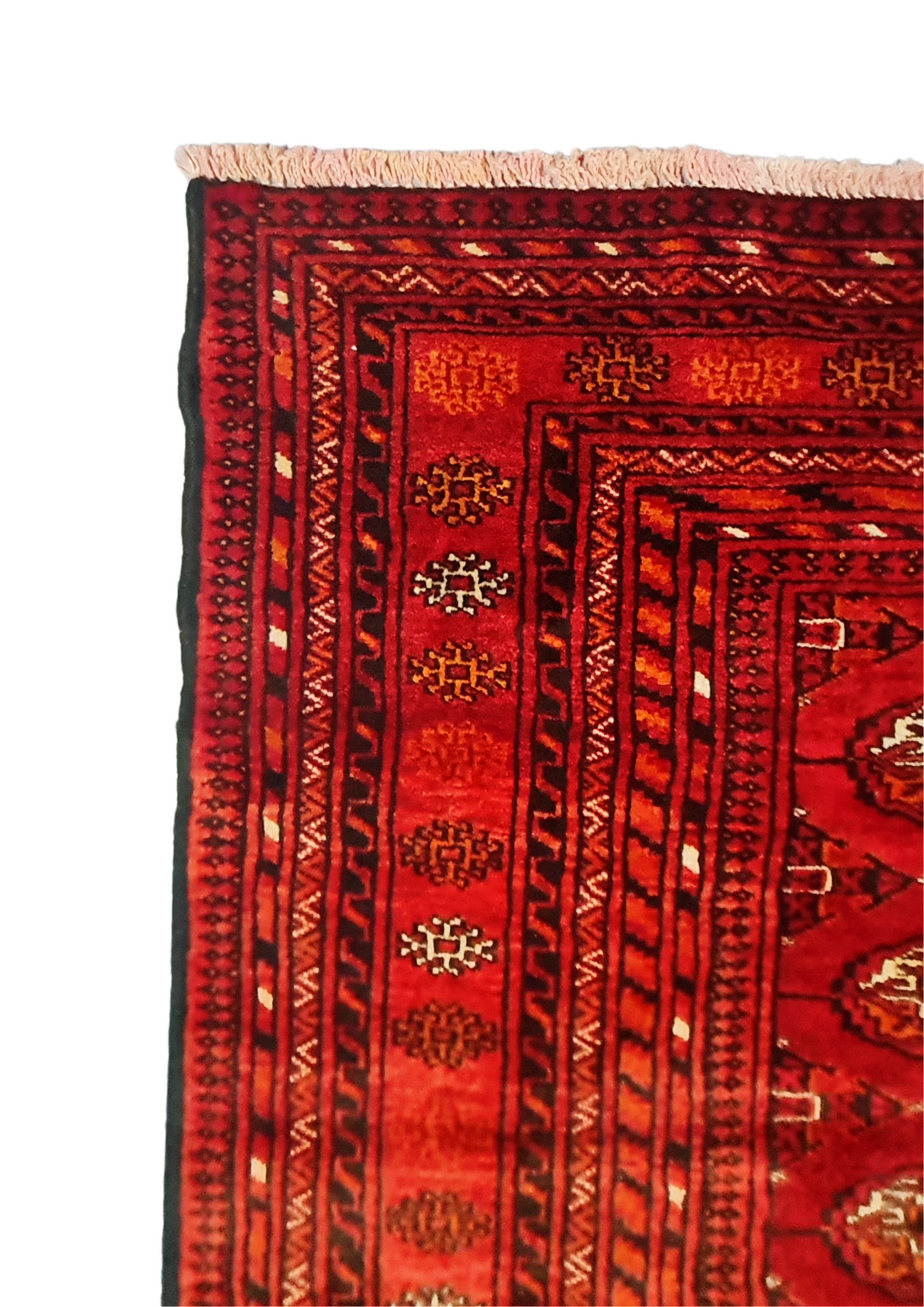 Rug No: 1534 / Size 1.90m x 1.40m