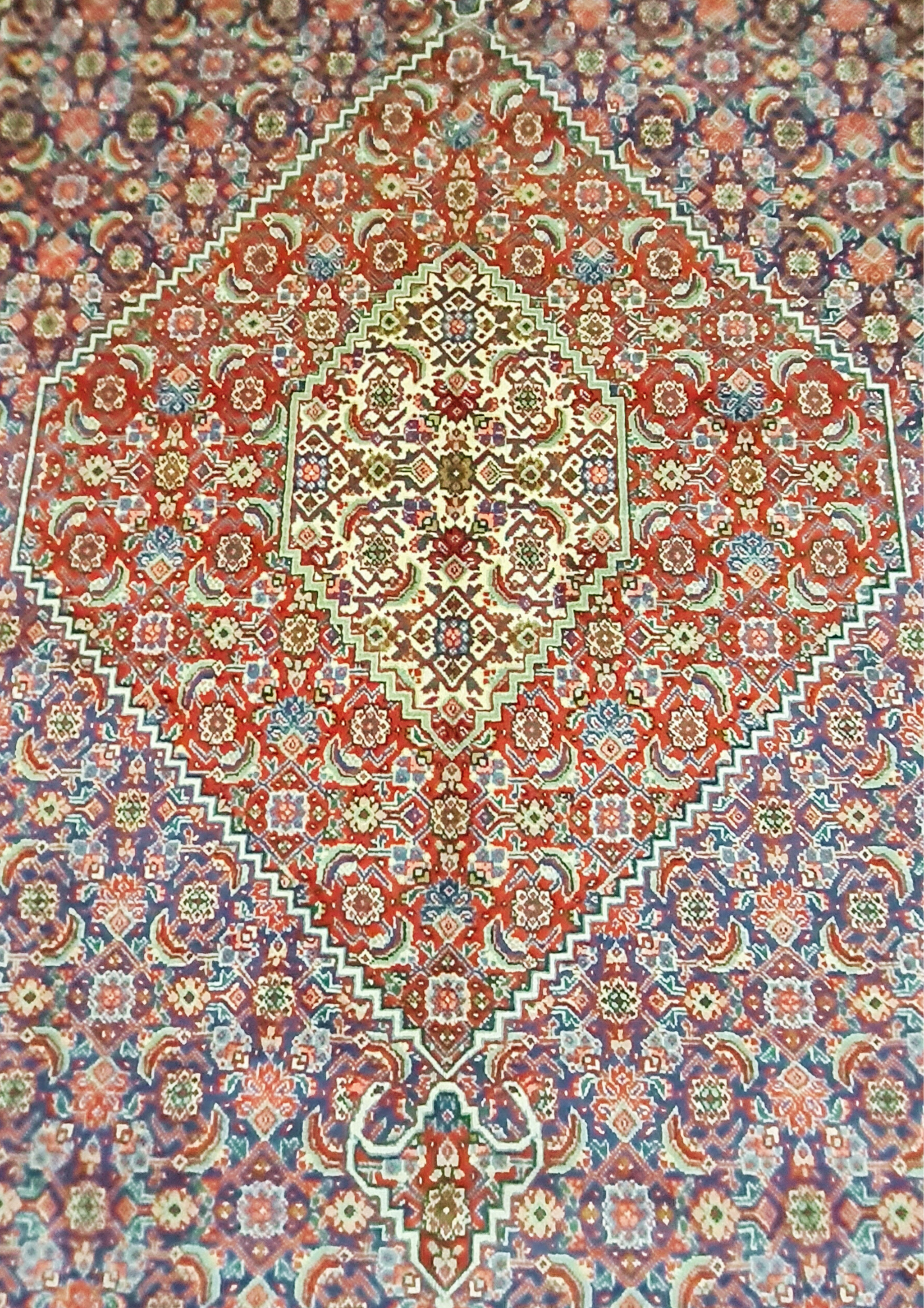 Rug No: 0002 / Size 2.98m x 2.02m